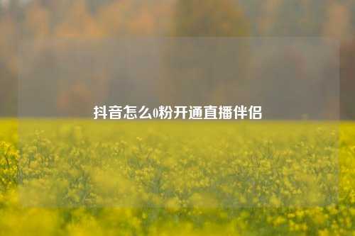 抖音怎么0粉开通直播伴侣