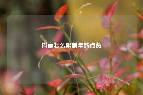 抖音怎么限制年龄点赞