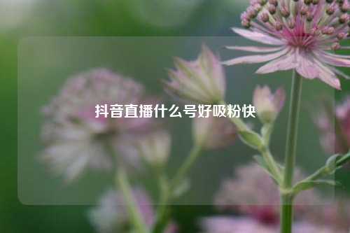 抖音直播什么号好吸粉快