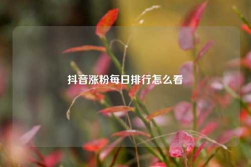 抖音涨粉每日排行怎么看
