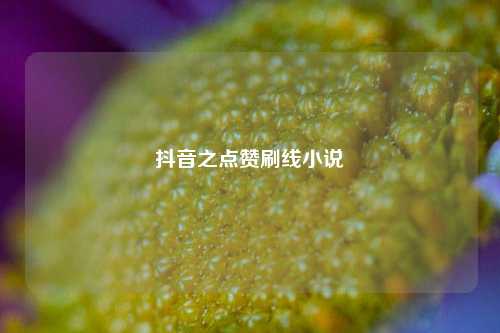 抖音之点赞刷线小说
