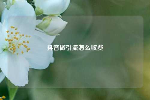 抖音做引流怎么收费