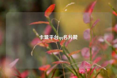 卡盟平台qq名片赞