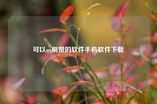 可以qq刷赞的软件手机软件下载