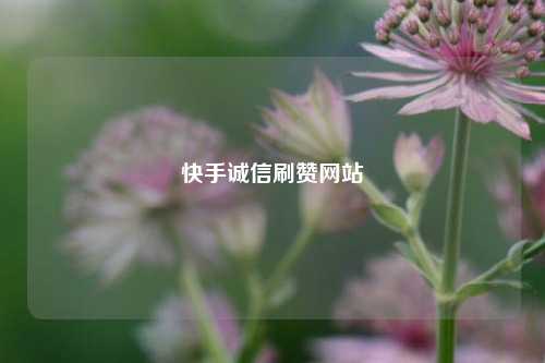 快手诚信刷赞网站