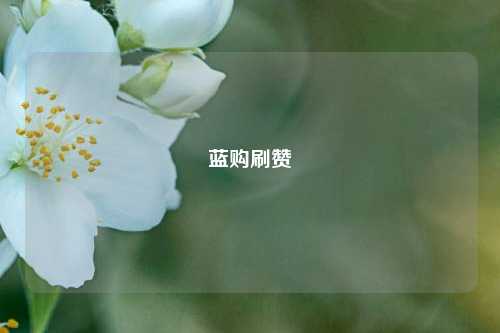 蓝购刷赞