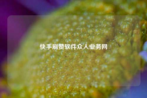 快手刷赞软件众人业务网