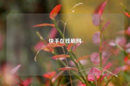 快手在线刷网