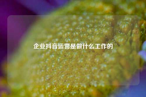 企业抖音运营是做什么工作的