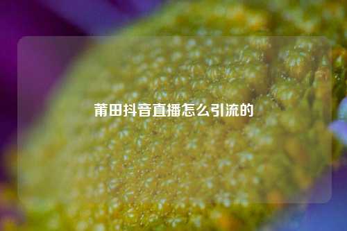 莆田抖音直播怎么引流的