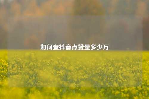 如何查抖音点赞量多少万