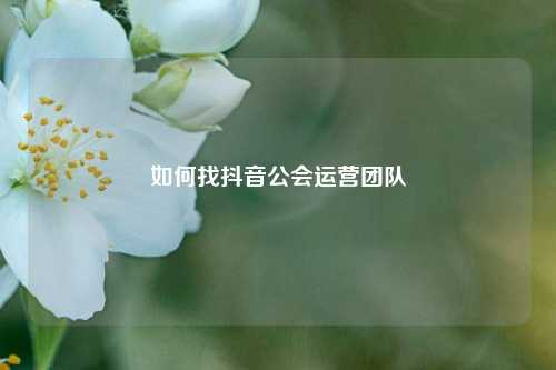如何找抖音公会运营团队
